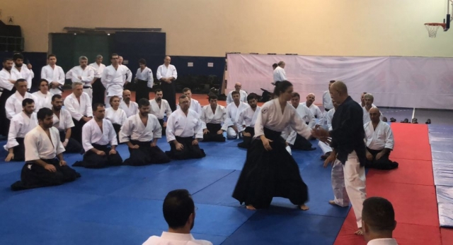 Nebi Vural Ankara Seminar 2018