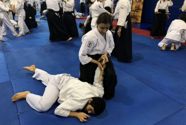 Nebi Vural Ankara Seminar 2018