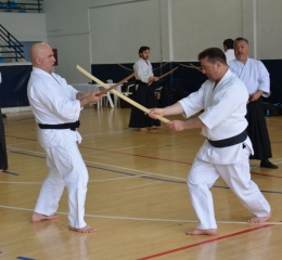 Nebi Vural İstanbul Instructor Seminar 2019