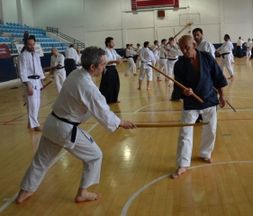 Nebi Vural İstanbul Instructor Seminar 2019