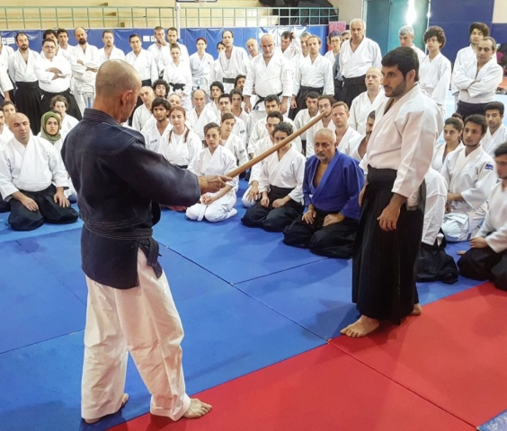 8th International Aikido Festival