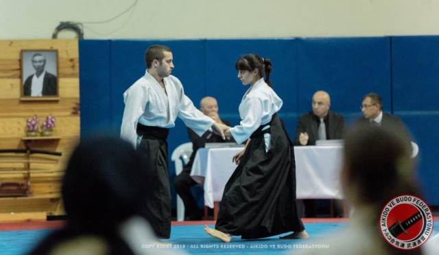 2018 Nebi Vural Ankara Seminar