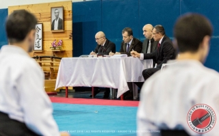 2018 Nebi Vural Ankara Seminar