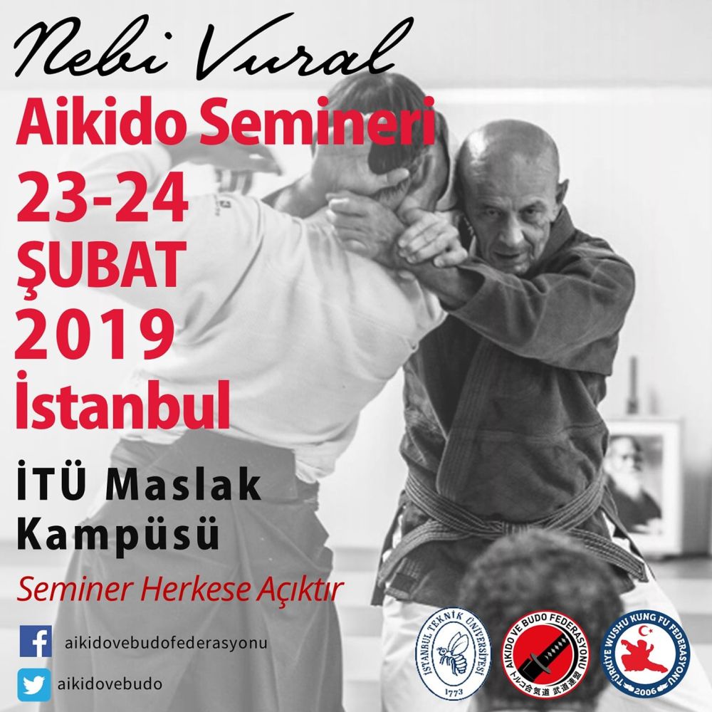 Nebi Vural Istanbul Seminar February 2019
