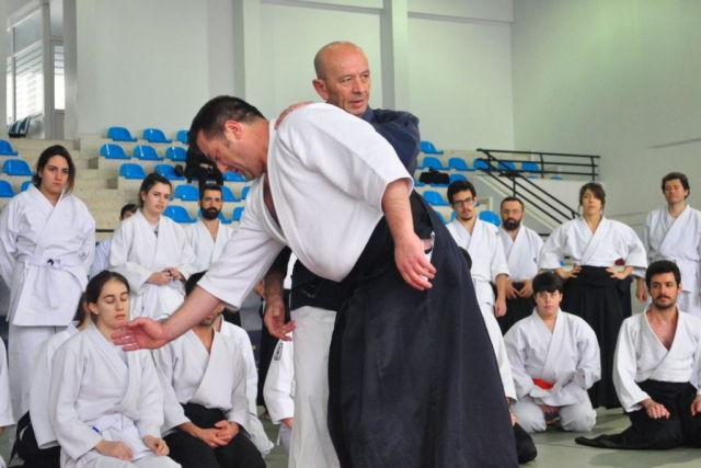 Nebi Vural Istanbul Seminar February 2019