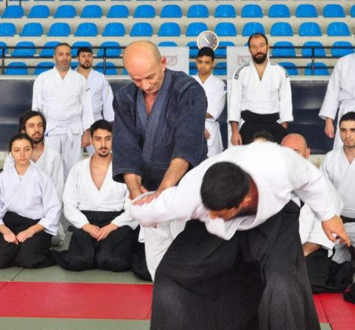 Nebi Vural Istanbul Seminar February 2019