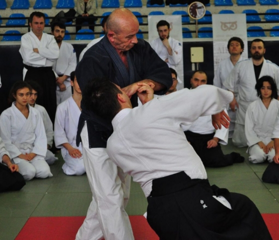 Nebi Vural Istanbul Seminar February 2019