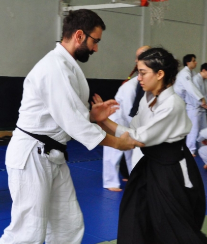 Nebi Vural Istanbul Seminar February 2019