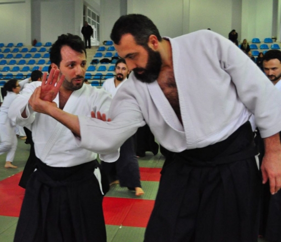 Nebi Vural Istanbul Seminar February 2019
