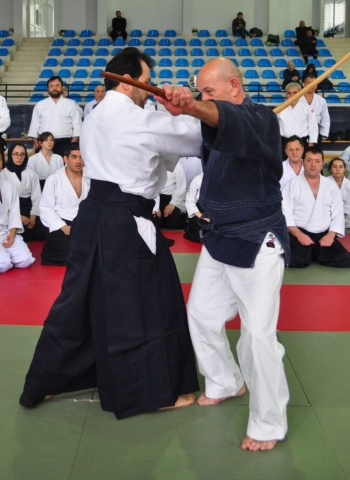 Nebi Vural Istanbul Seminar February 2019