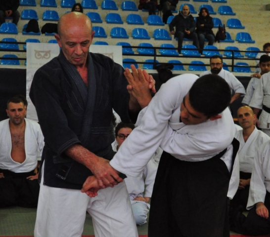 Nebi Vural Istanbul Seminar February 2019