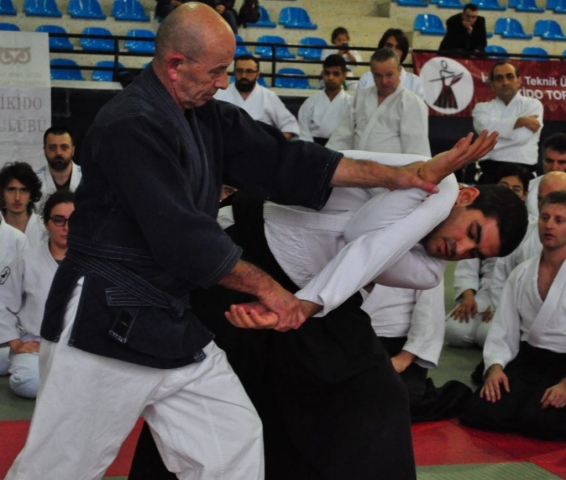 Nebi Vural Istanbul Seminar February 2019
