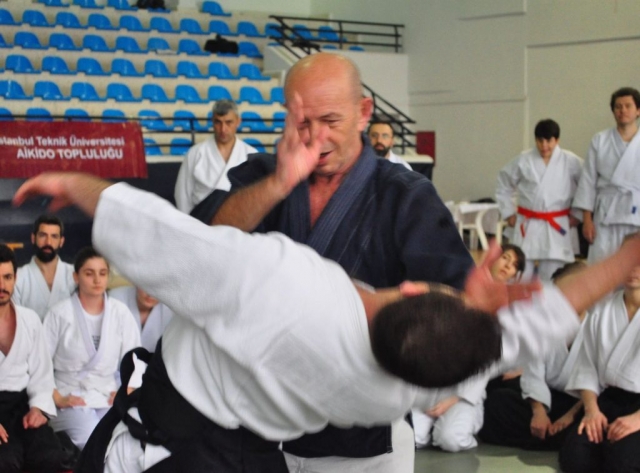 Nebi Vural Istanbul Seminar February 2019