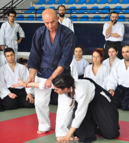 Nebi Vural Istanbul Seminar February 2019