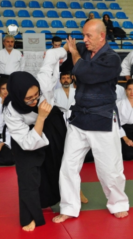 Nebi Vural Istanbul Seminar February 2019