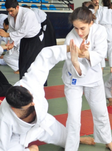 Nebi Vural Istanbul Seminar February 2019
