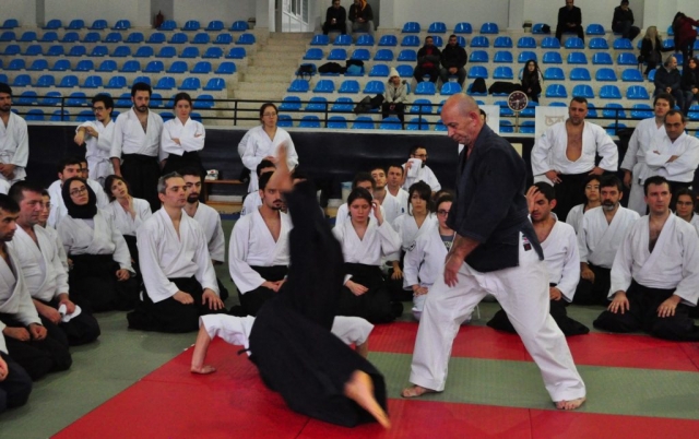 Nebi Vural Istanbul Seminar February 2019