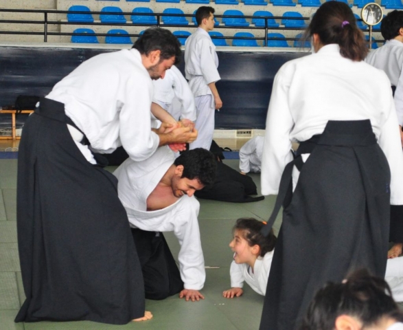 Nebi Vural Istanbul Seminar February 2019