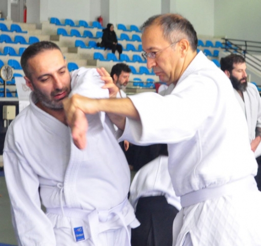 Nebi Vural Istanbul Seminar February 2019
