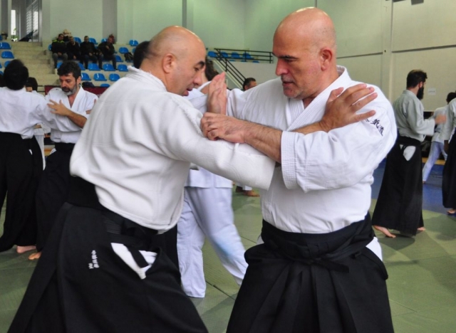 Nebi Vural Istanbul Seminar February 2019