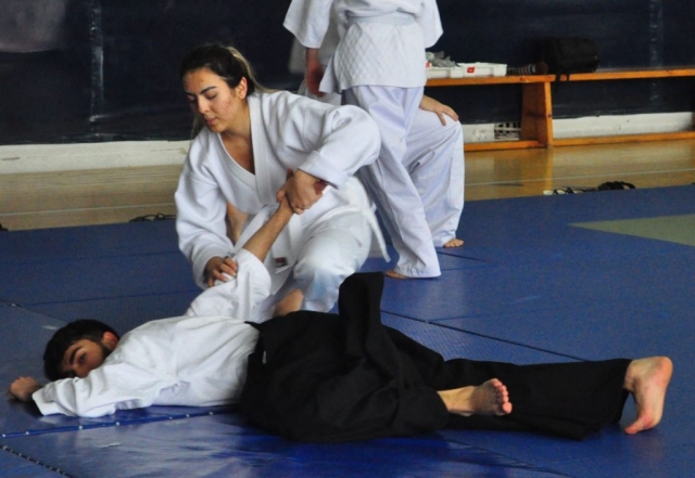 Nebi Vural Istanbul Seminar February 2019