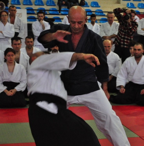 Nebi Vural Istanbul Seminar February 2019