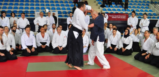 Nebi Vural Istanbul Seminar February 2019