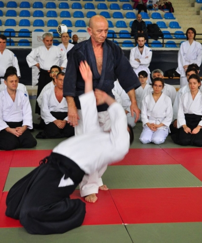Nebi Vural Istanbul Seminar February 2019