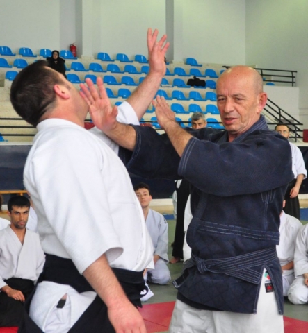 Nebi Vural Istanbul Seminar February 2019