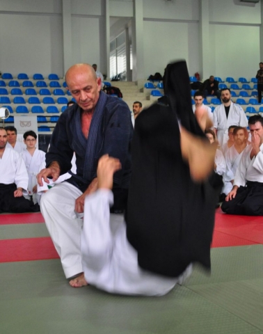 Nebi Vural Istanbul Seminar February 2019