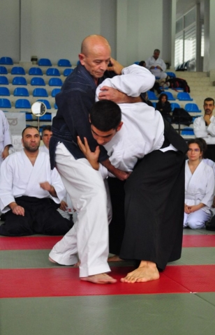 Nebi Vural Istanbul Seminar February 2019