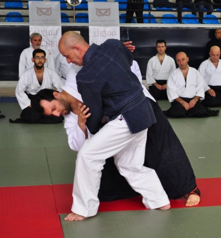 Nebi Vural Istanbul Seminar February 2019