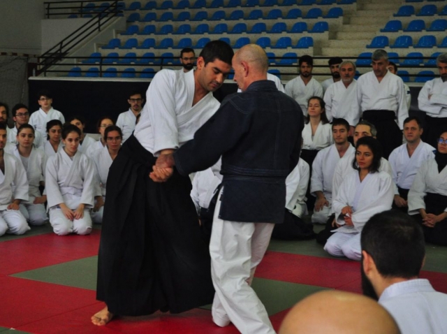 Nebi Vural Istanbul Seminar February 2019