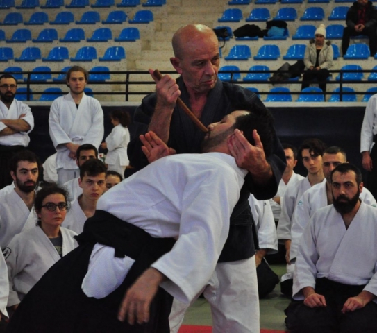 Nebi Vural Istanbul Seminar February 2019