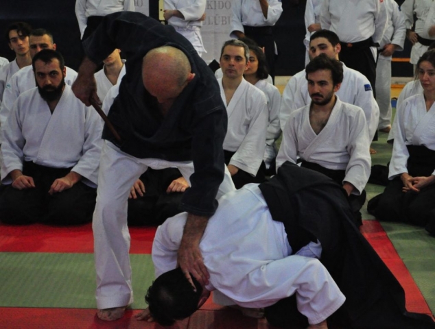 Nebi Vural Istanbul Seminar February 2019