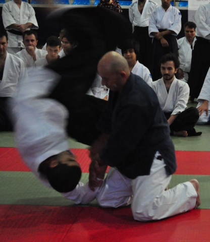 Nebi Vural Istanbul Seminar February 2019