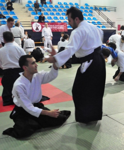 Nebi Vural Istanbul Seminar February 2019