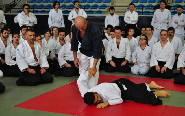 Nebi Vural Istanbul Seminar February 2019