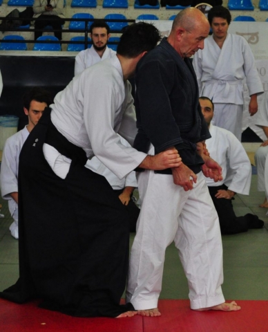 Nebi Vural Istanbul Seminar February 2019