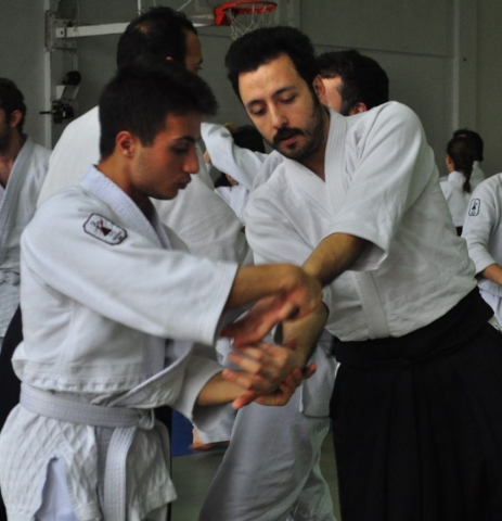 Nebi Vural Istanbul Seminar February 2019