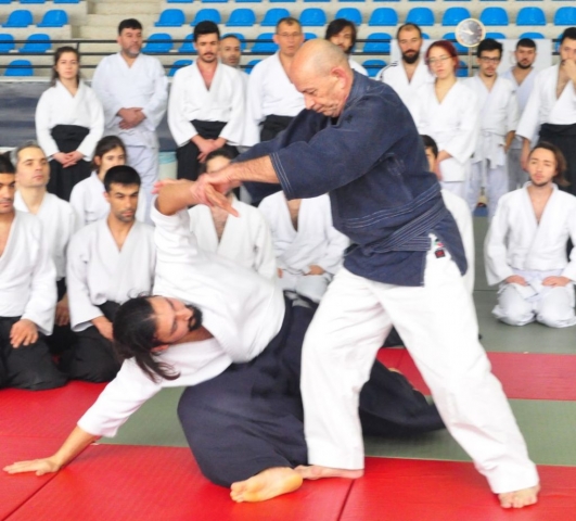 Nebi Vural Istanbul Seminar February 2019
