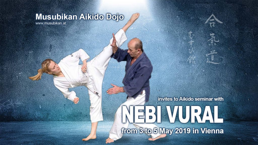Nebi Vural Vienna Seminar 2019