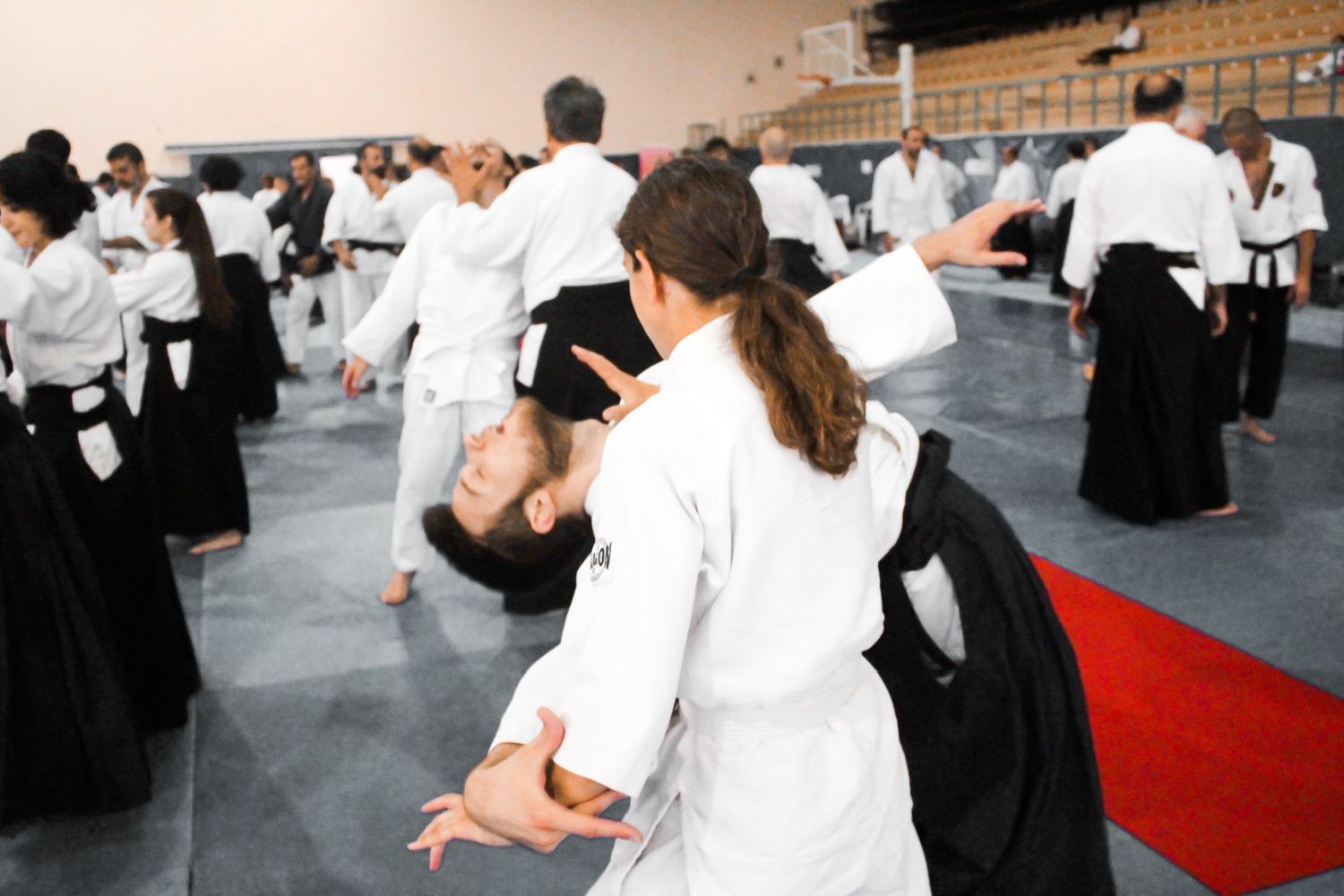 2019 International Aikido Festival