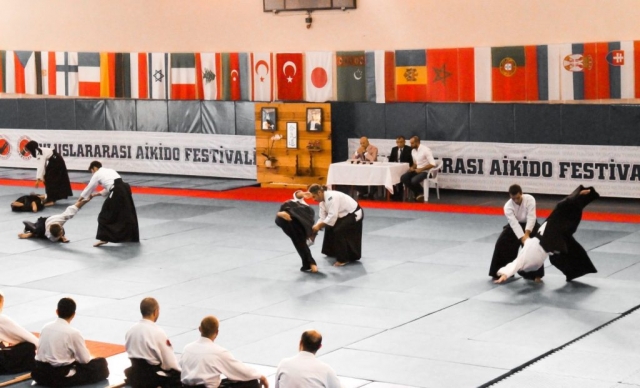 2019 International Aikido Festival