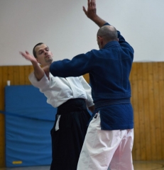 Nebi Vural Frankfurt Seminar June 2019