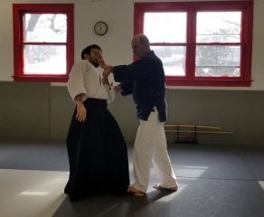 Nebi Vural Worcester Seminar 2020